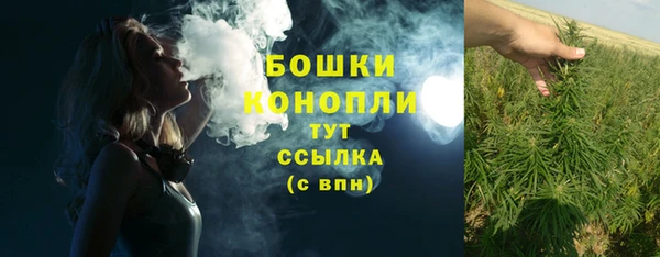 тгк Михайлов