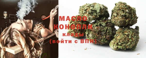тгк Михайлов