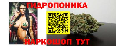 молекула духа Заводоуковск
