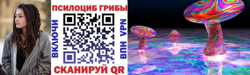 MEGA зеркало  Тула  Псилоцибиновые грибы Psilocybe 