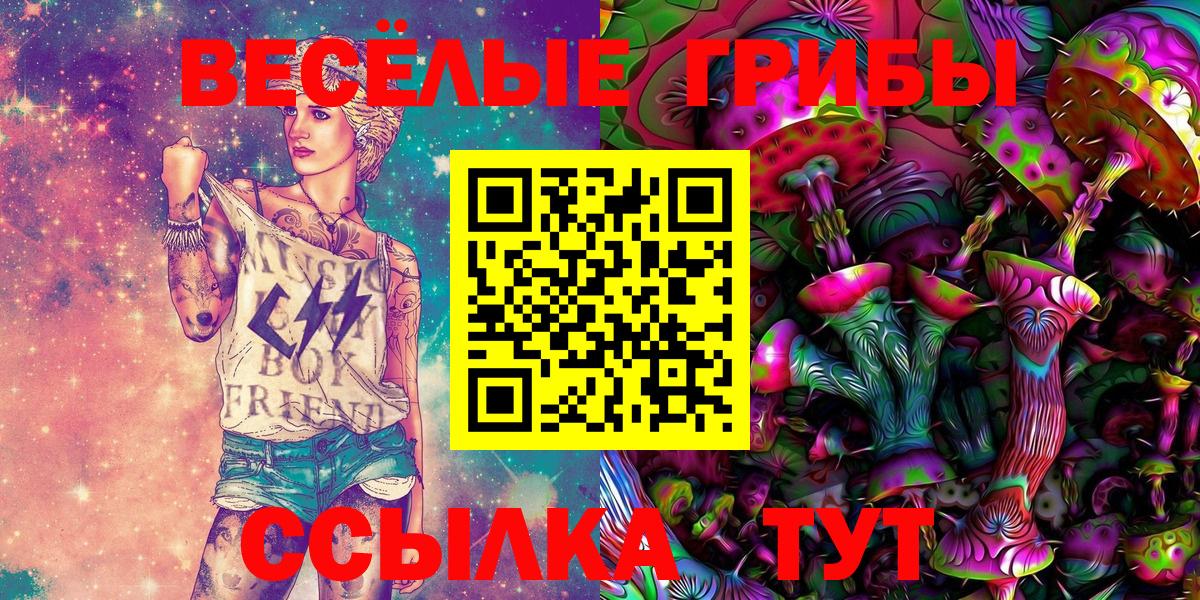 Псилоцибиновые грибы GOLDEN TEACHER Тула